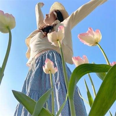 寻找多莉·帕顿